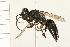  ( - HYMN 0122.02)  @13 [ ] CreativeCommons - Attribution (2008) Unspecified Centre for Biodiversity Genomics
