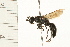  ( - HYMN 0125.02)  @13 [ ] CreativeCommons - Attribution (2008) Unspecified Centre for Biodiversity Genomics
