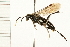  ( - HYMN 0157.02)  @13 [ ] CreativeCommons - Attribution (2008) Unspecified Centre for Biodiversity Genomics