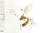  ( - 08BBHYM-0003)  @13 [ ] CreativeCommons - Attribution (2008) Unspecified Centre for Biodiversity Genomics