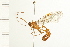  ( - 08BBHYM-0005)  @13 [ ] CreativeCommons - Attribution (2008) Unspecified Centre for Biodiversity Genomics