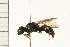  ( - 08BBHYM-0038)  @14 [ ] CreativeCommons - Attribution (2008) Unspecified Centre for Biodiversity Genomics