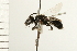  ( - 08BBHYM-0067)  @13 [ ] CreativeCommons - Attribution (2008) Unspecified Centre for Biodiversity Genomics
