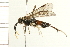  ( - 08BBHYM-0088)  @13 [ ] CreativeCommons - Attribution (2008) Unspecified Centre for Biodiversity Genomics