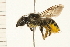  ( - 08BBHYM-0227)  @11 [ ] CreativeCommons - Attribution (2009) Unspecified Centre for Biodiversity Genomics