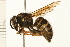  ( - 08BBHYM-0271)  @13 [ ] CreativeCommons - Attribution (2009) Unspecified Centre for Biodiversity Genomics