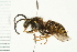  ( - 08BBHYM-0485)  @14 [ ] CreativeCommons - Attribution (2009) Unspecified Centre for Biodiversity Genomics