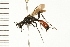  ( - 08BBHYM-0491)  @12 [ ] CreativeCommons - Attribution (2009) Unspecified Centre for Biodiversity Genomics