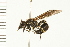  ( - 08BBHYM-0492)  @13 [ ] CreativeCommons - Attribution (2009) Unspecified Centre for Biodiversity Genomics