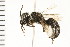  ( - 08BBHYM-0528)  @13 [ ] CreativeCommons - Attribution (2009) Unspecified Centre for Biodiversity Genomics