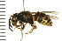 ( - 08BBHYM-0609)  @14 [ ] CreativeCommons - Attribution (2009) Unspecified Centre for Biodiversity Genomics