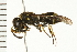  ( - 08BBHYM-0663)  @13 [ ] CreativeCommons - Attribution (2009) Unspecified Centre for Biodiversity Genomics