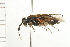  ( - 08BBHYM-0100)  @13 [ ] CreativeCommons - Attribution (2009) Unspecified Centre for Biodiversity Genomics
