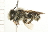  ( - 08BBHYM-0112)  @13 [ ] CreativeCommons - Attribution (2009) Unspecified Centre for Biodiversity Genomics