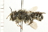  ( - 08BBHYM-0113)  @11 [ ] CreativeCommons - Attribution (2009) Unspecified Centre for Biodiversity Genomics
