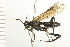  ( - 08BBHYM-0115)  @13 [ ] CreativeCommons - Attribution (2009) Unspecified Centre for Biodiversity Genomics