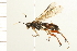  ( - 08BBHYM-0122)  @12 [ ] CreativeCommons - Attribution (2009) Unspecified Centre for Biodiversity Genomics