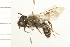  ( - 08BBHYM-0138)  @13 [ ] CreativeCommons - Attribution (2009) Unspecified Centre for Biodiversity Genomics