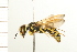  ( - 08BBHYM-0139)  @15 [ ] CreativeCommons - Attribution (2009) Unspecified Centre for Biodiversity Genomics