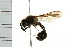  ( - 08BBHYM-0292)  @13 [ ] CreativeCommons - Attribution (2009) Unspecified Centre for Biodiversity Genomics
