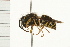  ( - 08BBHYM-0313)  @13 [ ] CreativeCommons - Attribution (2009) Unspecified Centre for Biodiversity Genomics
