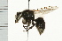  ( - 08BBHYM-0323)  @13 [ ] CreativeCommons - Attribution (2009) Unspecified Centre for Biodiversity Genomics