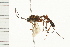  ( - 08BBHYM-0371)  @13 [ ] CreativeCommons - Attribution (2009) Unspecified Centre for Biodiversity Genomics