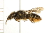  ( - 08BBHYM-0382)  @11 [ ] CreativeCommons - Attribution (2009) Unspecified Centre for Biodiversity Genomics