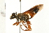  ( - 08MZPP-035)  @14 [ ] CreativeCommons - Attribution (2008) Unspecified Centre for Biodiversity Genomics