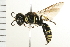  ( - 08BBHYM-0425)  @13 [ ] CreativeCommons - Attribution (2009) Unspecified Centre for Biodiversity Genomics