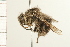  ( - 08BBHYM-0439)  @13 [ ] CreativeCommons - Attribution (2009) Unspecified Centre for Biodiversity Genomics
