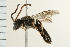  ( - 08BBHYM-0444)  @14 [ ] CreativeCommons - Attribution (2009) Unspecified Centre for Biodiversity Genomics