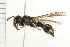  ( - 08BBHYM-0463)  @13 [ ] CreativeCommons - Attribution (2009) Unspecified Centre for Biodiversity Genomics