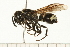  ( - 08BBHYM-0667)  @14 [ ] CreativeCommons - Attribution (2009) Unspecified Centre for Biodiversity Genomics