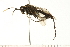  ( - 08BBHYM-0718)  @12 [ ] CreativeCommons - Attribution (2009) Unspecified Centre for Biodiversity Genomics