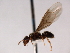  ( - HLC-17698)  @13 [ ] CreativeCommons - Attribution (2008) Unspecified Centre for Biodiversity Genomics