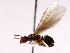  ( - HLC-17703)  @13 [ ] CreativeCommons - Attribution (2008) Unspecified Centre for Biodiversity Genomics