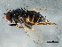  ( - 08TTML-1354)  @14 [ ] CreativeCommons - Attribution (2010) CBG Photography Group Centre for Biodiversity Genomics