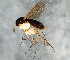  ( - 08TTML-1382)  @13 [ ] CreativeCommons - Attribution (2010) CBG Photography Group Centre for Biodiversity Genomics