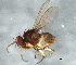  ( - 08TTML-1397)  @14 [ ] CreativeCommons - Attribution (2010) CBG Photography Group Centre for Biodiversity Genomics