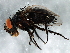  ( - 08TTML-1411)  @13 [ ] CreativeCommons - Attribution (2010) CBG Photography Group Centre for Biodiversity Genomics