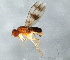  ( - 08TTML-1419)  @13 [ ] CreativeCommons - Attribution (2010) CBG Photography Group Centre for Biodiversity Genomics