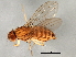  ( - 08TTML-1421)  @12 [ ] CreativeCommons - Attribution (2010) CBG Photography Group Centre for Biodiversity Genomics