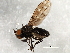  ( - 08TTML-1439)  @14 [ ] CreativeCommons - Attribution (2010) CBG Photography Group Centre for Biodiversity Genomics