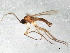  ( - 08TTML-1493)  @12 [ ] CreativeCommons - Attribution (2010) CBG Photography Group Centre for Biodiversity Genomics