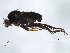  ( - 08TTML-1547)  @13 [ ] CreativeCommons - Attribution (2010) CBG Photography Group Centre for Biodiversity Genomics