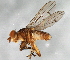  ( - 08TTML-1598)  @13 [ ] CreativeCommons - Attribution (2010) CBG Photography Group Centre for Biodiversity Genomics