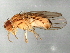  ( - 08TTML-1599)  @13 [ ] CreativeCommons - Attribution (2010) CBG Photography Group Centre for Biodiversity Genomics