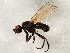  ( - 08TTML-1631)  @11 [ ] CreativeCommons - Attribution (2010) CBG Photography Group Centre for Biodiversity Genomics