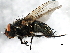  ( - 08TTML-1714)  @14 [ ] CreativeCommons - Attribution (2010) CBG Photography Group Centre for Biodiversity Genomics